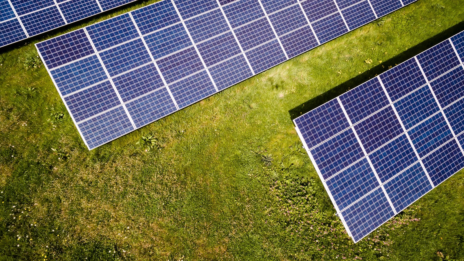 Aerial view of a precisely arranged solar panel installation